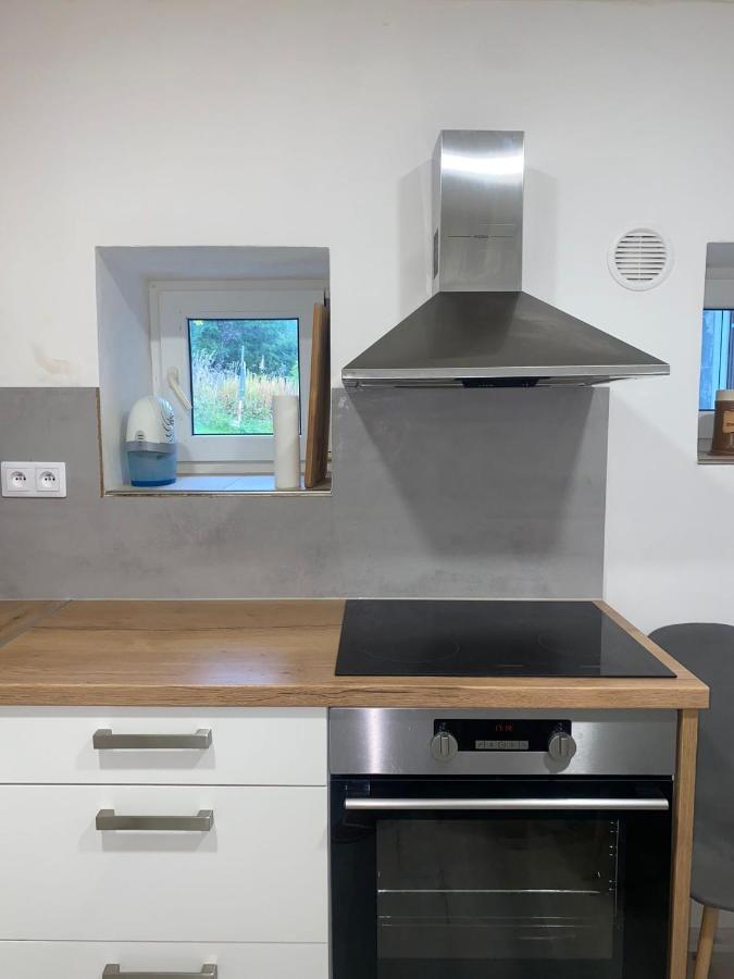 Apartman Pod Vlekem Horní Malá Úpa Buitenkant foto